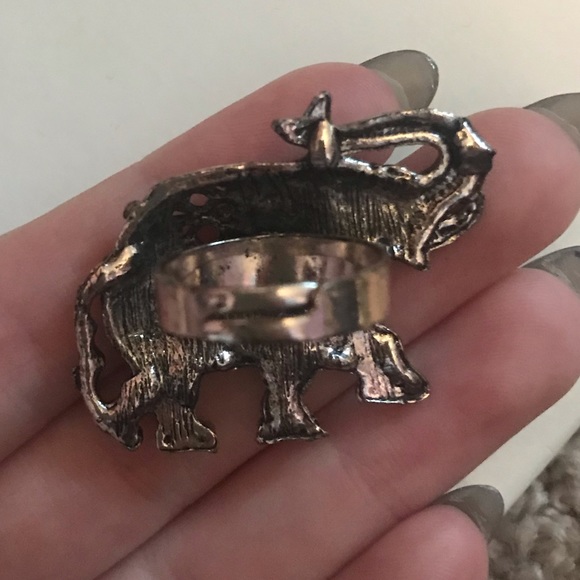 Elephant Ring - Picture 3 of 3